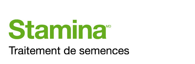 Stamina logo